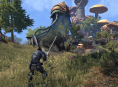 Du gameplay pour The Elder Scrolls Online : Morrowind