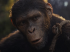 Les chimpanz&eacute;s consomment l'&eacute;quivalent d'une bouteille de bi&egrave;re blonde par jour.