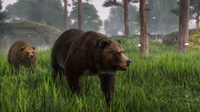 Un ours s'en prend à des convives au Mexique après avoir pris leur repas.