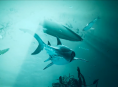 La vie des requins au coeur du trailer de lancement de Maneater