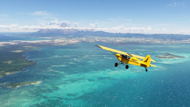 Microsoft Flight Simulator