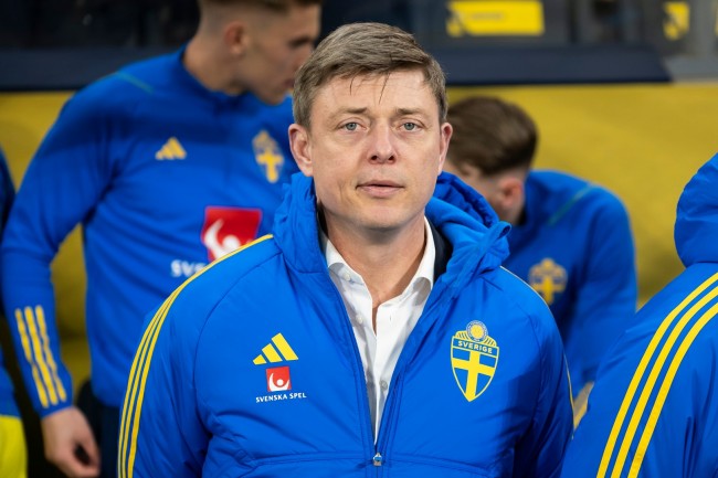 Jon Dahl Tomasson, manager de l'équipe de Suède, est licencié après la débâcle des éliminatoires de la Coupe du monde.