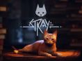 Stray est disponible d&egrave;s maintenant sur Xbox