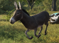 L'âne qui a posé pour Donkey in Shrek est décédé.