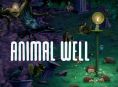 Nous allons faire un tour sur le site Animal Well dans l'&eacute;mission GR Live d'aujourd'hui