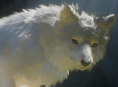 Beast of Reincarnation