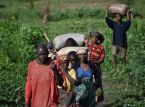 Crise au Burundi : Plus de 60 000 personnes fuient la violence au Congo