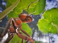 Empire of the Ants lancement en novembre