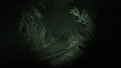 Related Image