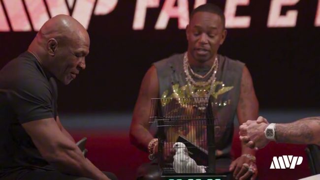 L'incident bizarre survenu dans les coulisses du combat entre Jake Paul et Mike Tyson et impliquant un pigeon