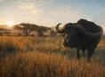 theHunter: Call of the Wild de retour avec une Edition 2019