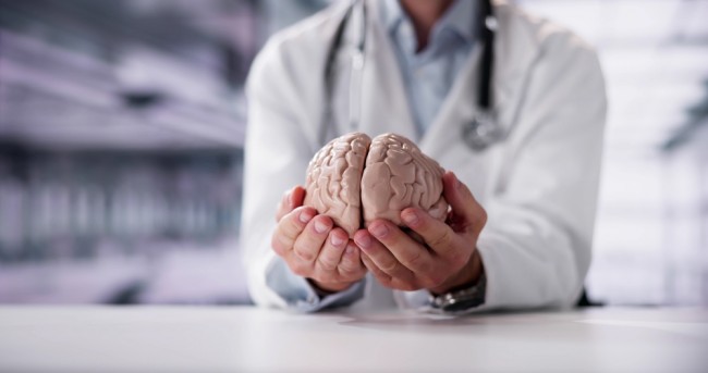 Des scientifiques créent le premier atlas détaillé du développement du cerveau humain, de l'embryon à l'âge adulte.