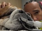 Roscoe, le chien de Lewis Hamilton, est dans le coma : Le champion de Formule 1 partage un message sincère