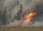 L'&eacute;tat d'urgence a &eacute;t&eacute; d&eacute;clar&eacute; &agrave; Washington alors que des feux de for&ecirc;t ravagent une r&eacute;gion des &Eacute;tats-Unis