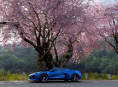 Forza Horizon 6 a atteint plus de 300 000 joueurs simultan&eacute;s sur Steam au cours du week-end.