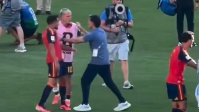 Roberto Ayala s'excuse pour avoir bousculé Dani Olmo lors de la finale de la Coupe du monde : « Ce n'était pas un coup de poing comme certains le disent 