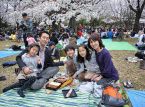 Le taux de natalité du Japon atteint son plus bas niveau historique en 2024