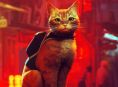 Stray re&ccedil;oit un film d&rsquo;animation