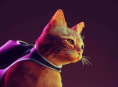 Stray grimpe au sommet des classements des ventes sur Xbox