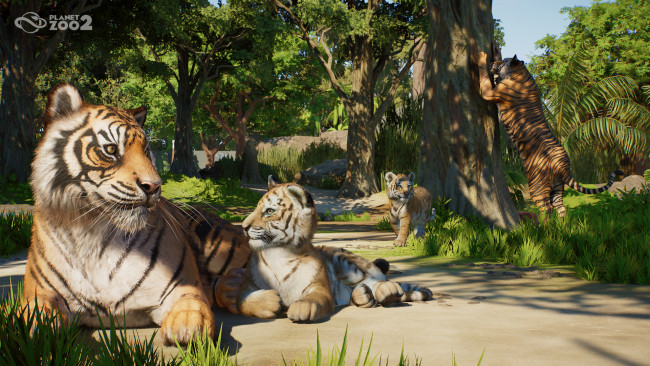 Planet Zoo 2 Aperçu : Une suite ambitieuse qui améliore la formule de Planet