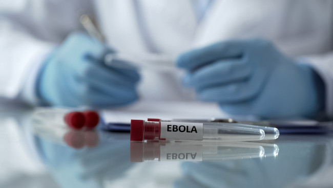 Les dirigeants du G7 s'engagent à apporter une réponse coordonnée à la résurgence de l'épidémie d'Ebola en République démocratique du Congo et en Ouganda