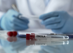 OMS : "La propagation d'Ebola d&eacute;passe actuellement les efforts d'endiguement".