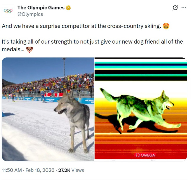 Le compte officiel X des Jeux olympiques supprime discrètement le post amusant de l'incident viral mais assez dangereux du chien.