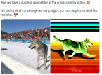 Le compte officiel X des Jeux olympiques supprime discr&egrave;tement le post amusant de l'incident viral mais assez dangereux du chien.