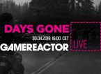 GR Live : On est de retour dans Days Gone aujourd'hui !