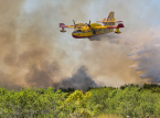 La quatri&egrave;me vague de chaleur europ&eacute;enne est l&agrave;, alors que la France fait face &agrave; &laquo; la situation la plus grave en mati&egrave;re d'incendies depuis la Seconde Guerre mondiale 