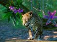 Cinq nouveaux animaux rejoignent Planet Zoo