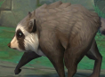 Jimothy, le raton laveur qui a fait le buzz, d&eacute;barque sur World of Warcraft