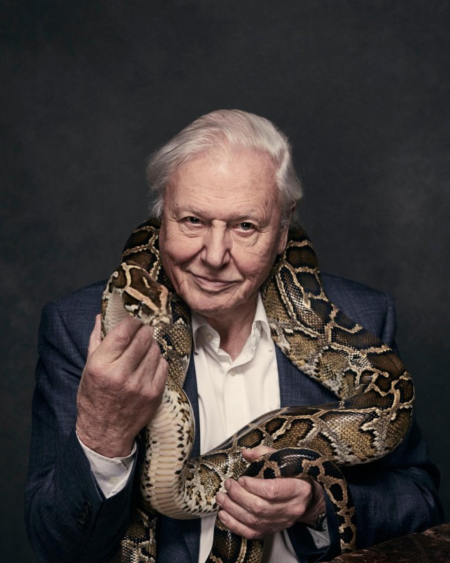 L'actrice la plus recherchée de Pornhub révèle son béguin secret : David Attenborough