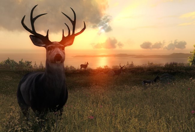 Avalanche Studios Group ouvre un nouveau studio à Liverpool