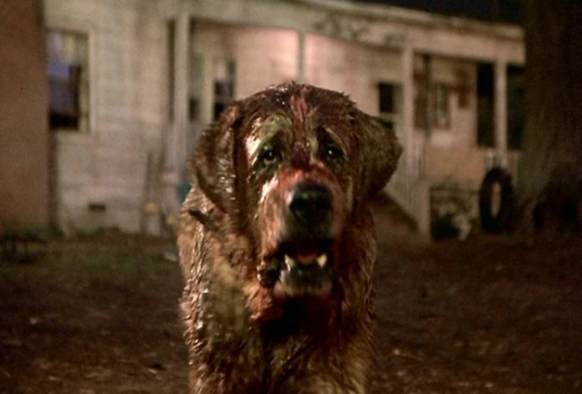 Netflix prévoit un remake du film Cujo de Stephen King