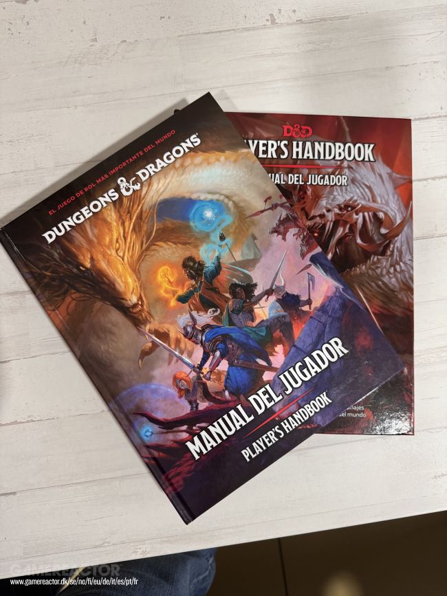 Manuel Des Joueurs De Faerun – D&D 3e édition – Livre D'occasion En Français