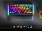 Razer Blackwidow V4 75%