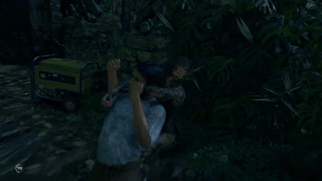 Shadow of the Tomb Raider