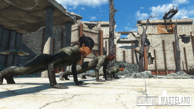 Fallout 3