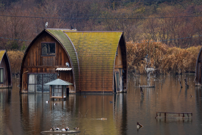Le Japon évacue un million de personnes à l'approche de deux grosses tempêtes tropicales