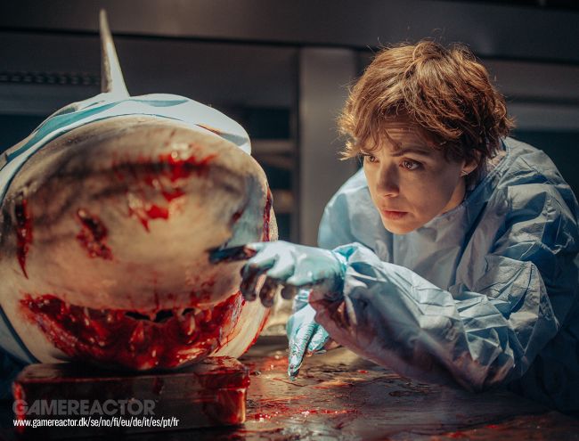 Netflix continue d'aller de l'avant avec la suite de Under Paris en s'assurant les services d'un réalisateur pour la suite du film d'horreur sur les requins.