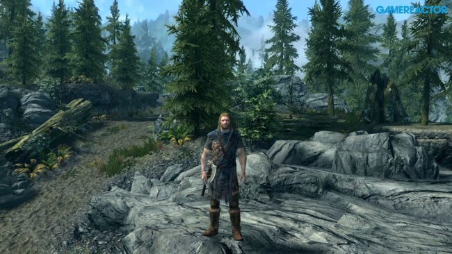 The Elder Scrolls V: Skyrim