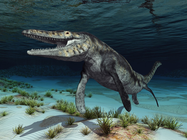 Les paléontologues nomment la nouvelle découverte d'un mosasaure "T. rex" et pour de bonnes raisons