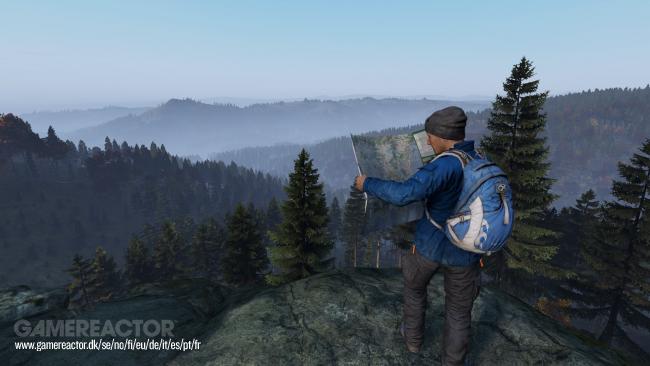 DayZ