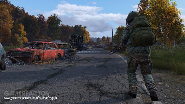 DayZ