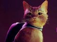 Stray ronronne son chemin vers Xbox One et Xbox Series en ao&ucirc;t