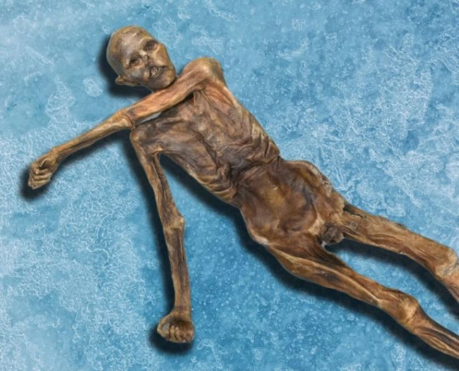 Des chercheurs transforment une momie vieille de 5 000 ans en pain au levain