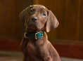 Scooby-Doo sera incarné par un vrai chien dans la série préquelle en prise de vues réelles de Netflix Scooby-Doo: Origins