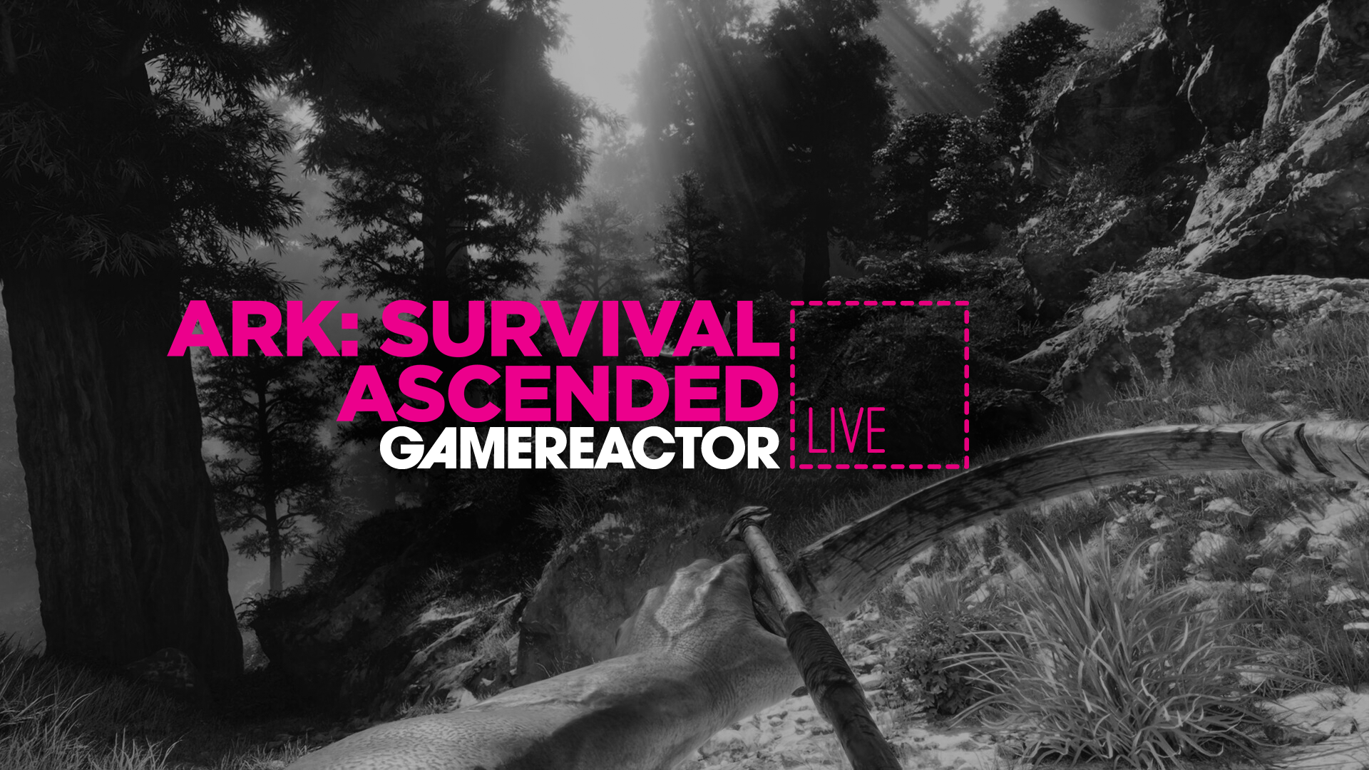 Mise à jour Nous apprivoisons les dinosaures sur Ark Survival Ascended dans l