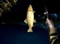 Ultimate Fishing Simulator sortira cette semaine sur Xbox One
